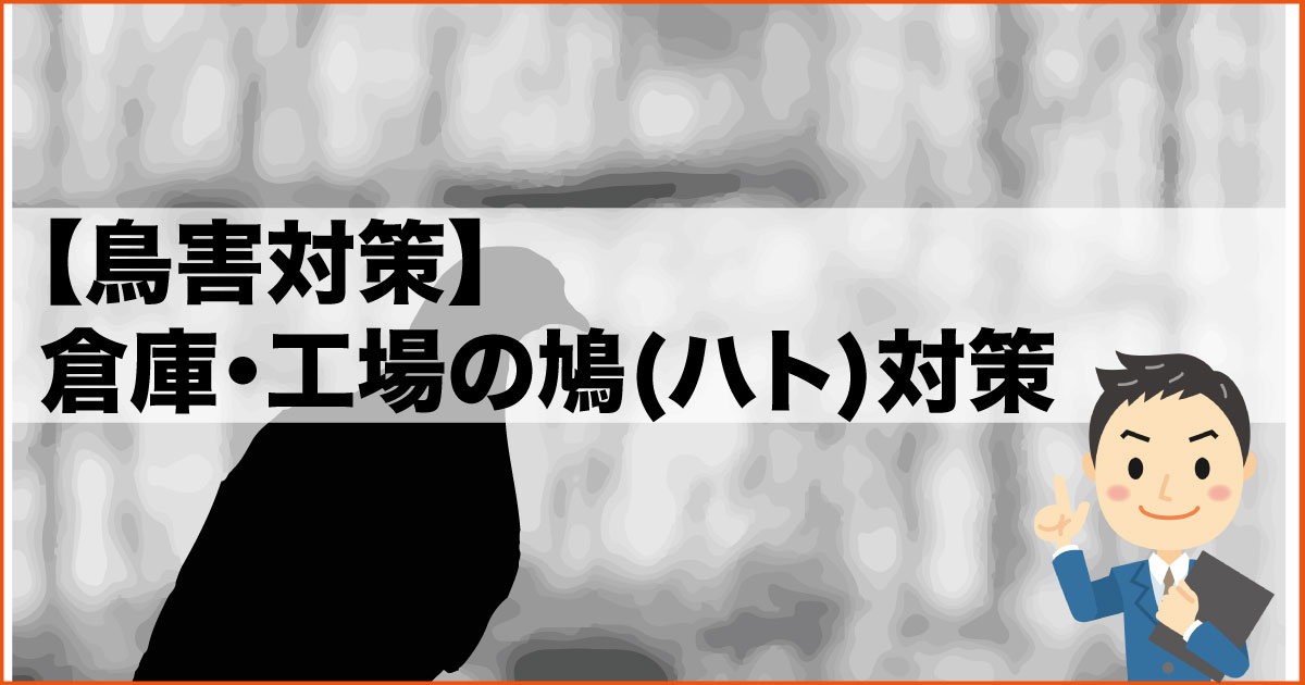 鳥害対策 倉庫 工場の鳩 ハト 対策 大阪貸し倉庫ネット